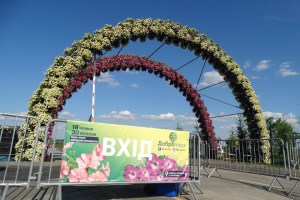 Фестиваль петуний в Добропарке